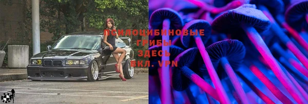 марки nbome Богданович