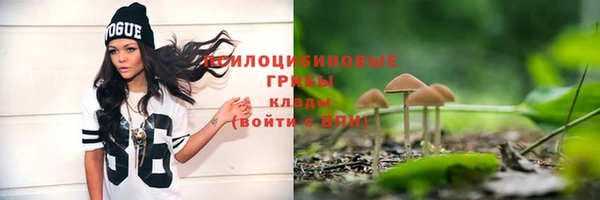 марихуана Белокуриха