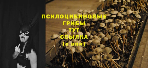 марихуана Белокуриха