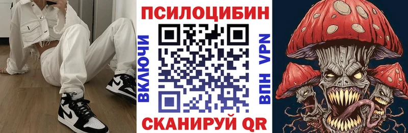 Псилоцибиновые грибы Psilocybe  сайты даркнета какой сайт  Верещагино 